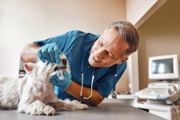 Best Emergency Dentist for Special Needs Patients in Liberty, TX