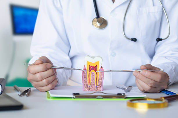 Best Urgent Dental Care for Toothache in Liberty, TX